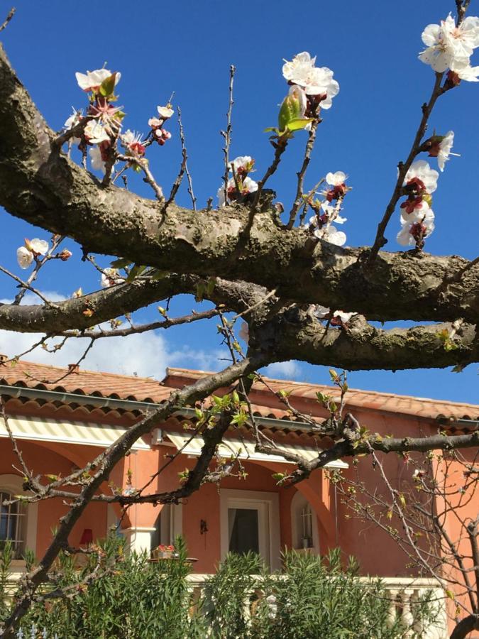 فندق La Closerie Villeneuve-lès-Béziers المظهر الخارجي الصورة